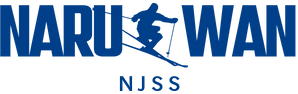 NJSS